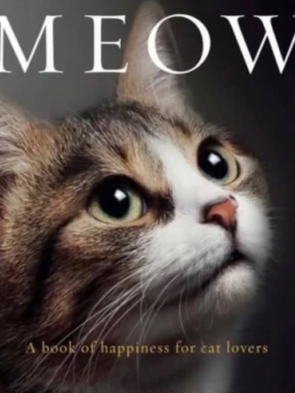 Cat Book